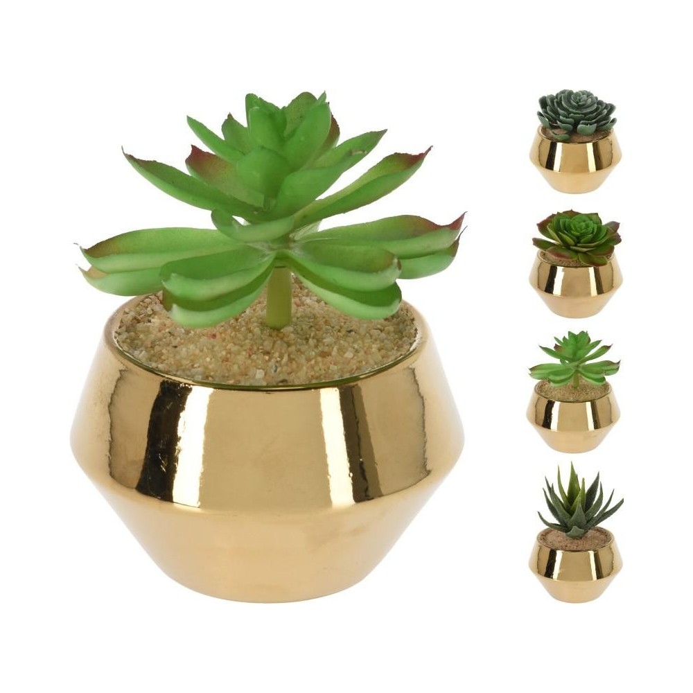 VASETTO CON PIANTA GRASSA 13X1